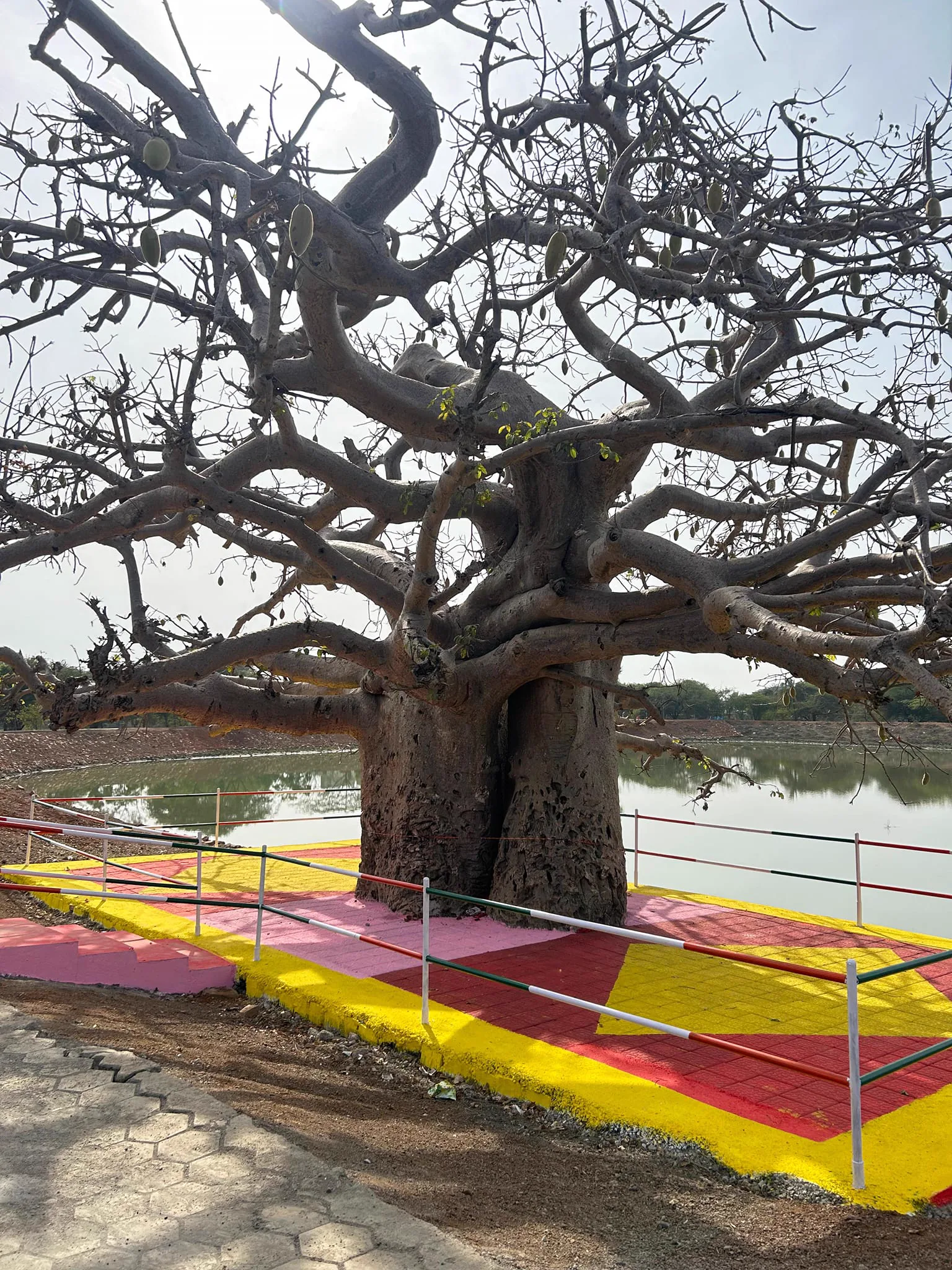 प्रकाश 5